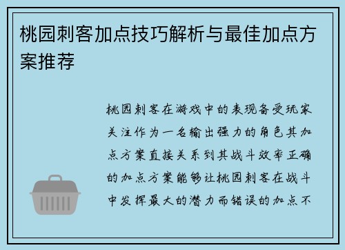 桃园刺客加点技巧解析与最佳加点方案推荐